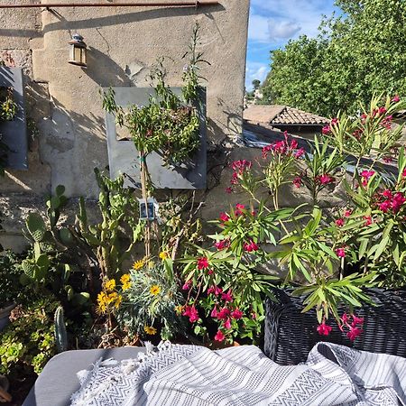 Appartamento Un Nid Sur Les Toits Face Au Palais Des Papes Avignone Esterno foto