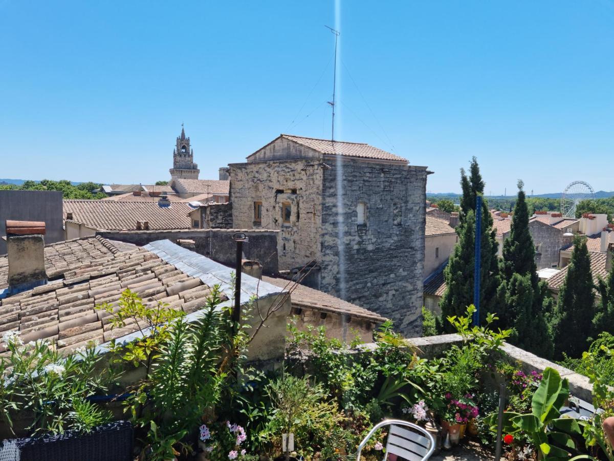 Appartamento Un Nid Sur Les Toits Face Au Palais Des Papes Avignone Esterno foto
