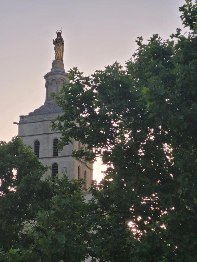 Appartamento Un Nid Sur Les Toits Face Au Palais Des Papes Avignone Esterno foto
