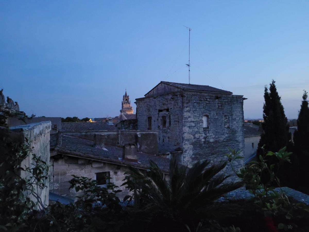 Appartamento Un Nid Sur Les Toits Face Au Palais Des Papes Avignone Esterno foto