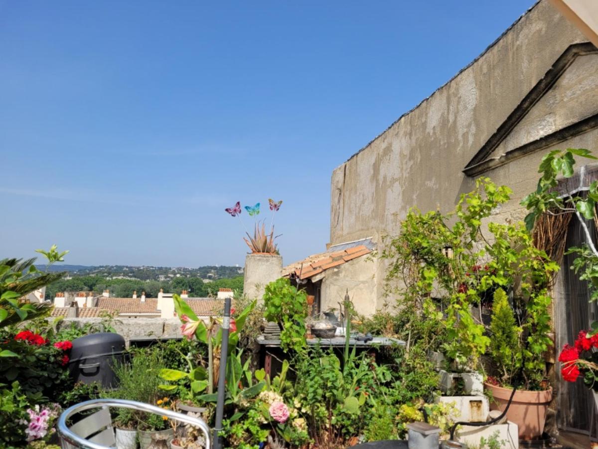 Appartamento Un Nid Sur Les Toits Face Au Palais Des Papes Avignone Esterno foto