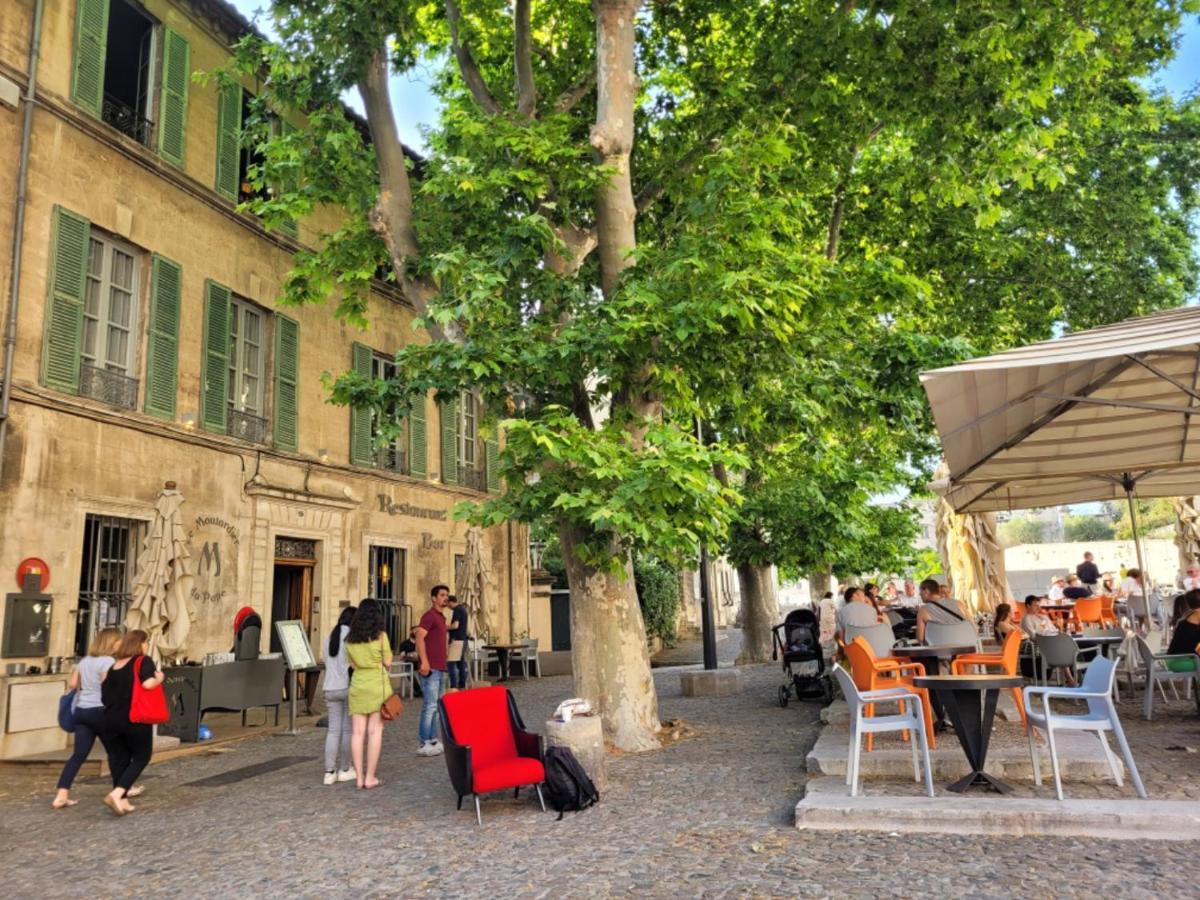 Appartamento Un Nid Sur Les Toits Face Au Palais Des Papes Avignone Esterno foto
