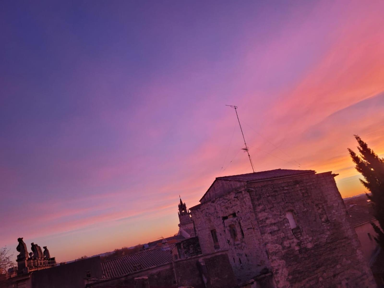 Appartamento Un Nid Sur Les Toits Face Au Palais Des Papes Avignone Esterno foto