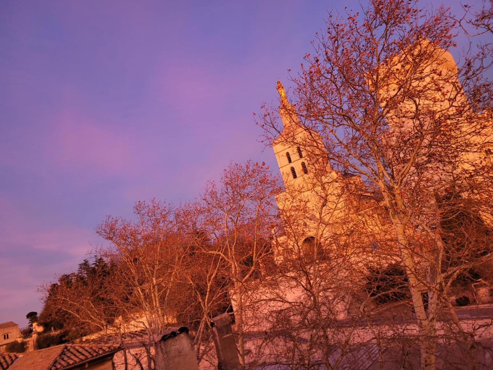 Appartamento Un Nid Sur Les Toits Face Au Palais Des Papes Avignone Esterno foto