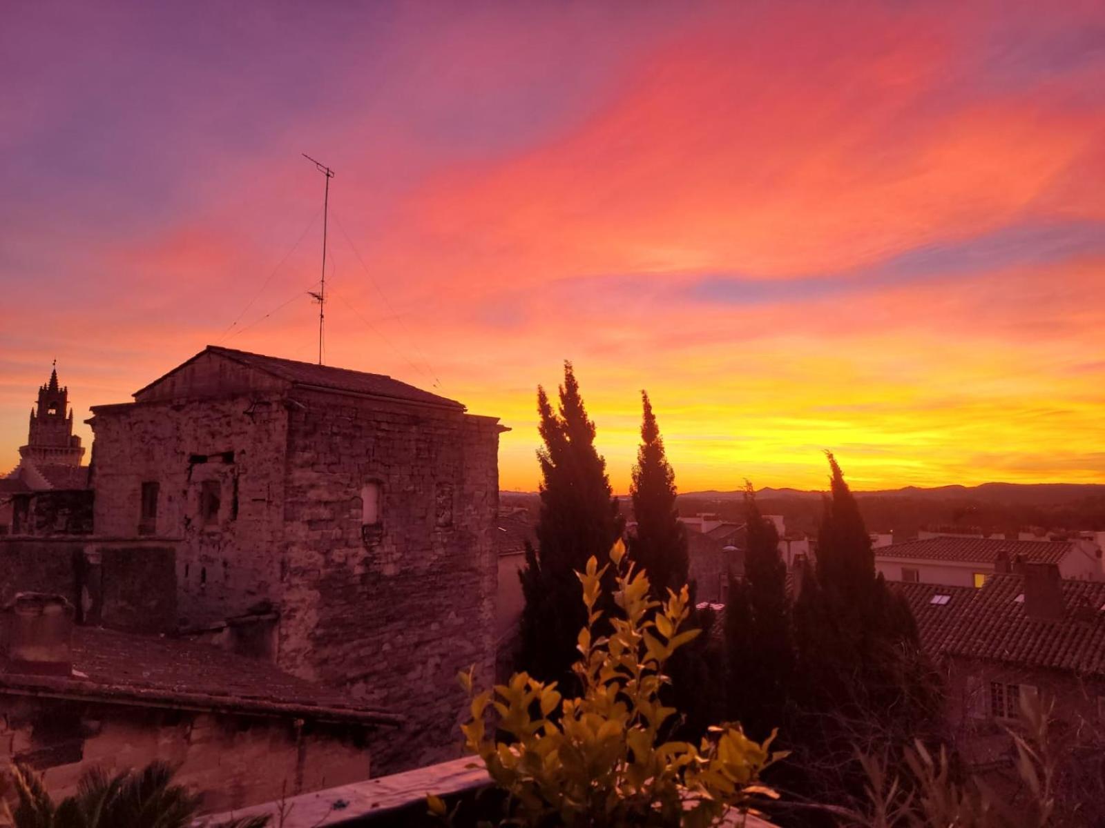 Appartamento Un Nid Sur Les Toits Face Au Palais Des Papes Avignone Esterno foto