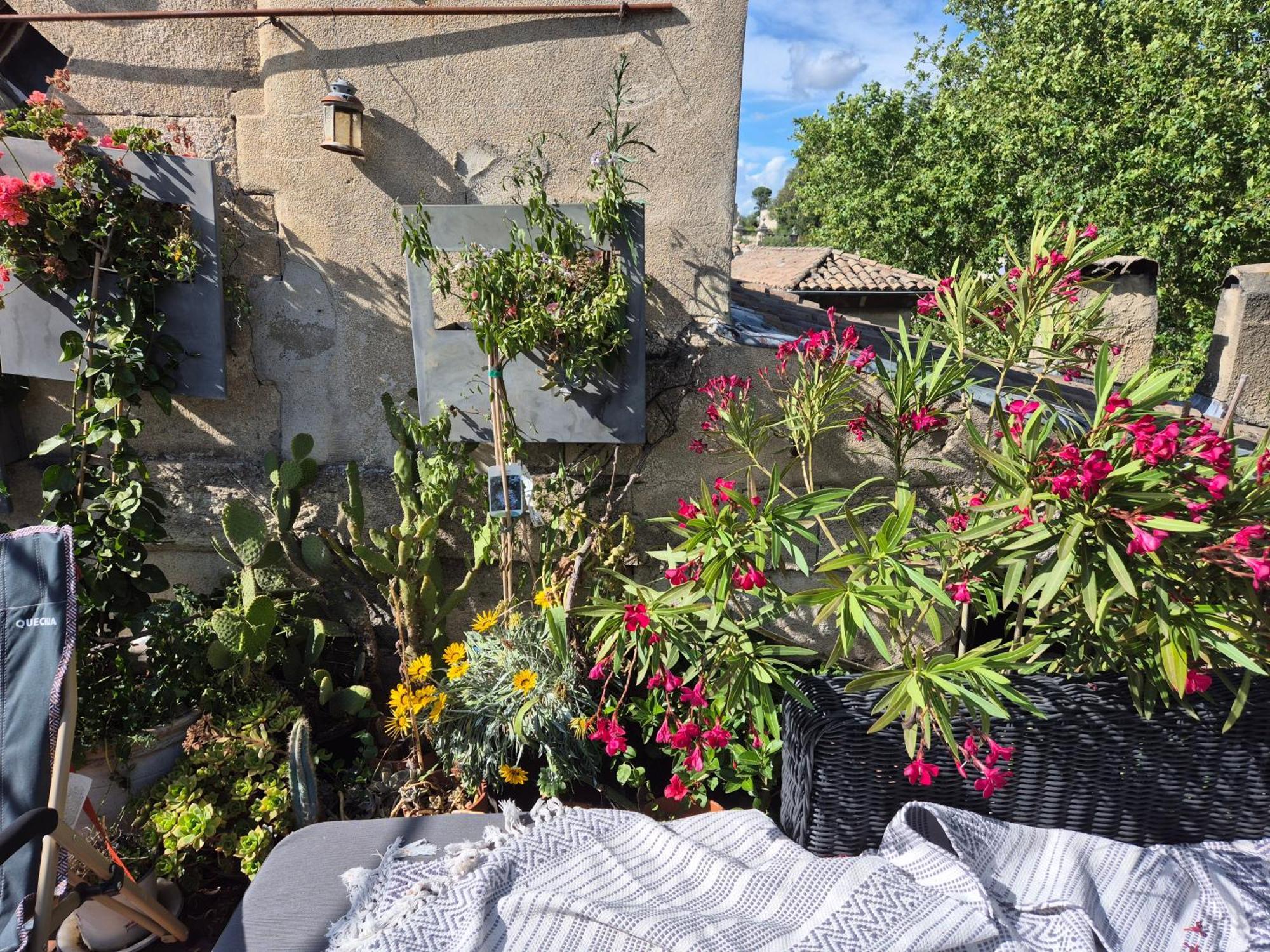 Appartamento Un Nid Sur Les Toits Face Au Palais Des Papes Avignone Esterno foto