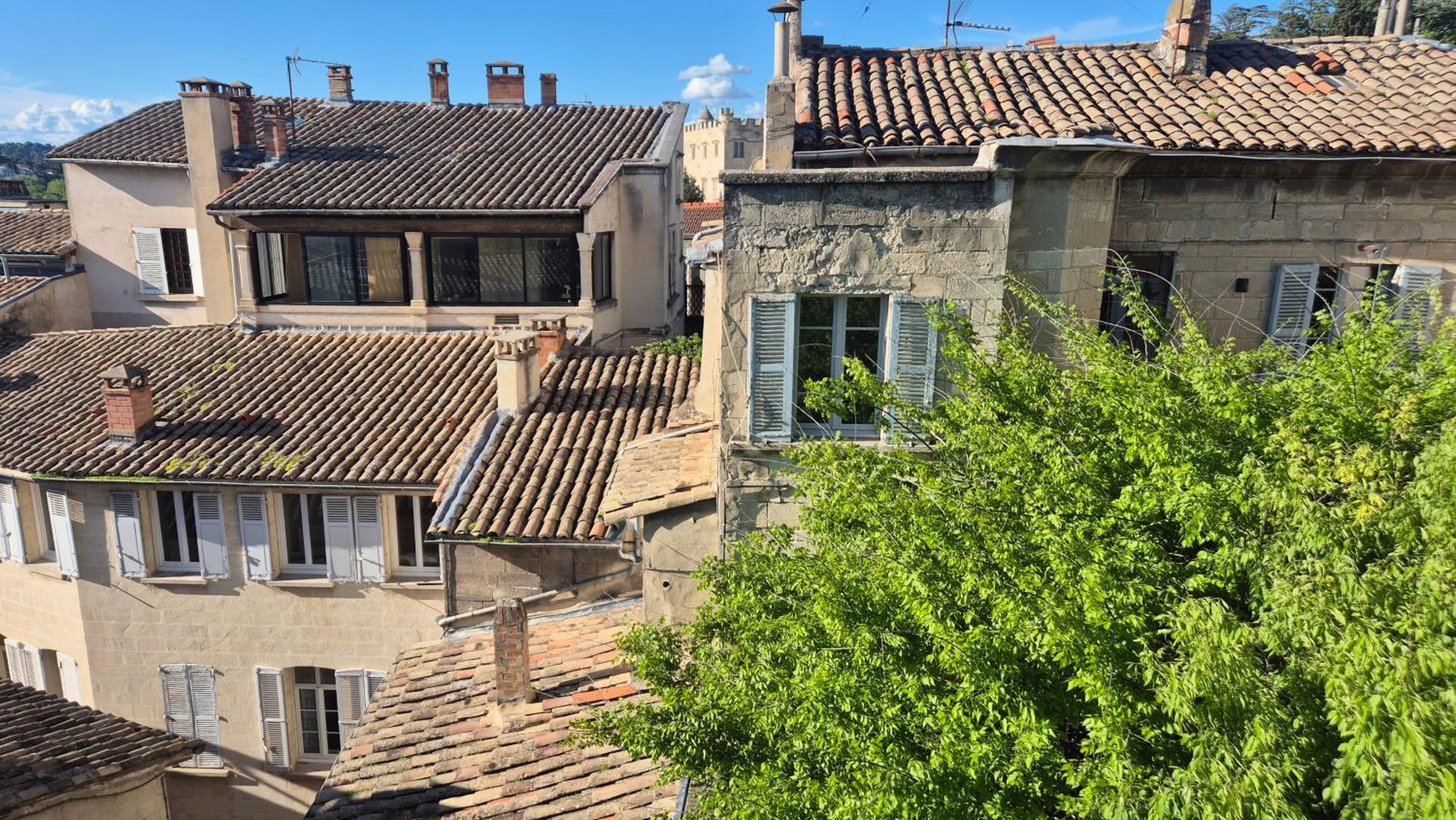 Appartamento Un Nid Sur Les Toits Face Au Palais Des Papes Avignone Esterno foto